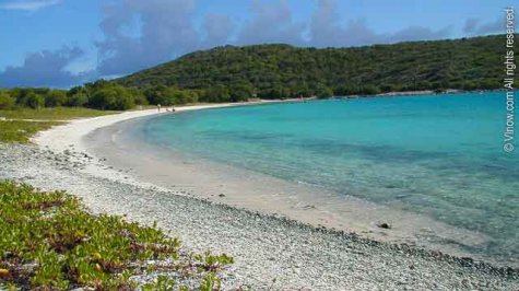 Salt Pond Bay